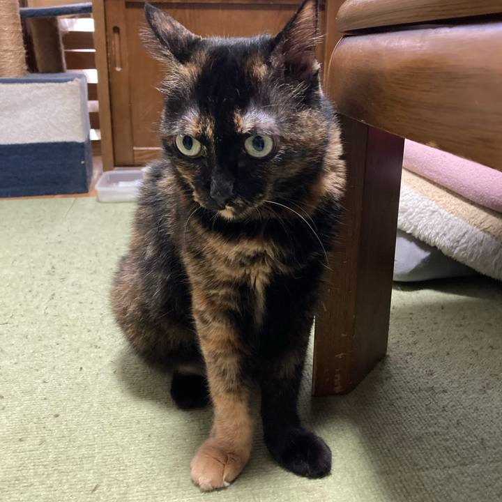 A622a276 326e 4a3b adad 9b6f5bafd836 1693702766647