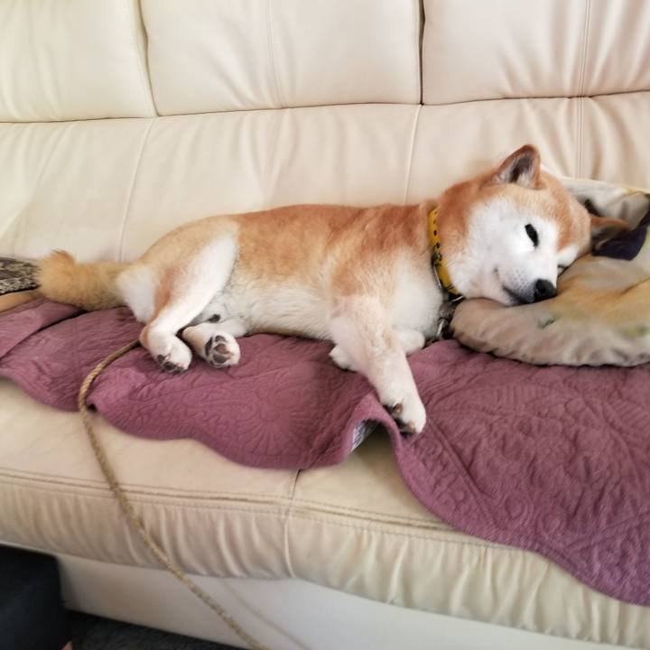 A622adaa 7470 4fac 9e41 c57ef8591e0d 1684192922289