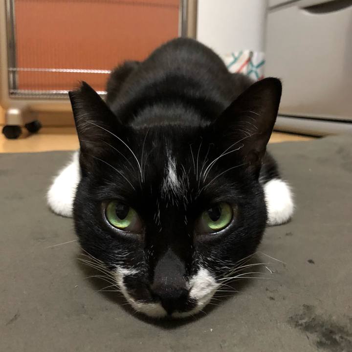 A622b0de 6e95 4b61 9c3b 3f40706aae22 1642331816736