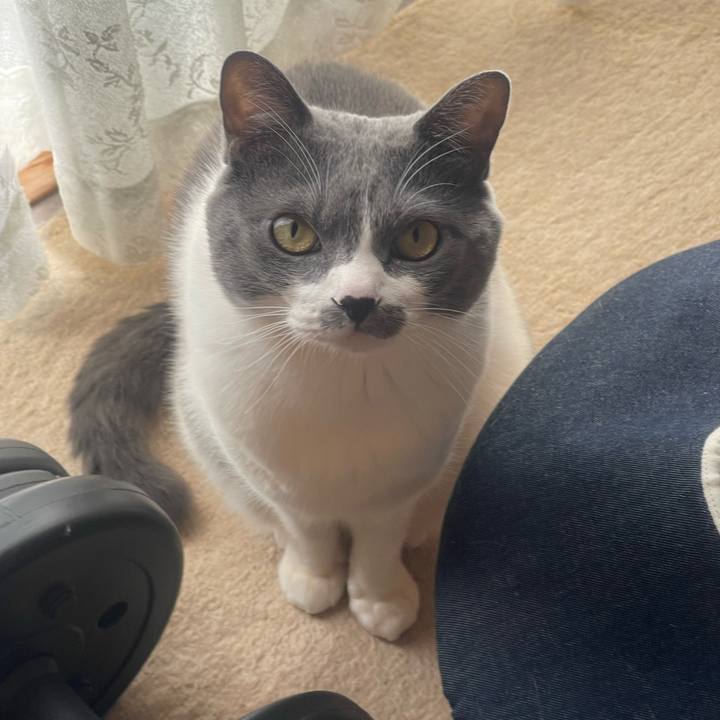 A622c2ff ac70 4b94 952a 74c84c10e1d7 1740528064980