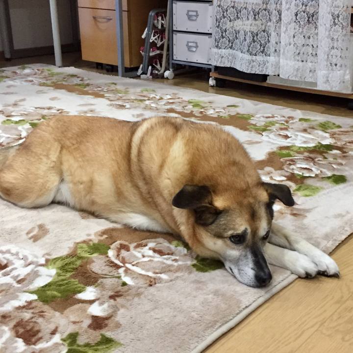 A622c5bc a0be 4c7b 99ca 285b07e84d3a 1584785104060