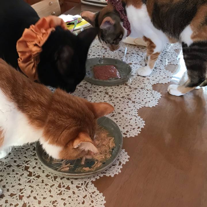 A6231814 99da 4724 986f 0897ff7c9d20 1627331680657