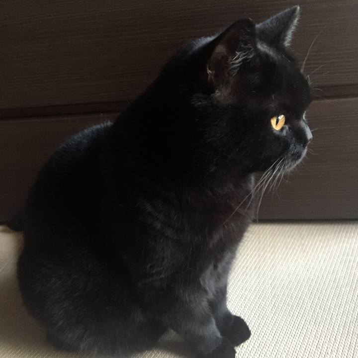 A623668d fb86 4904 a36f fe3ff090397e 1528666604289