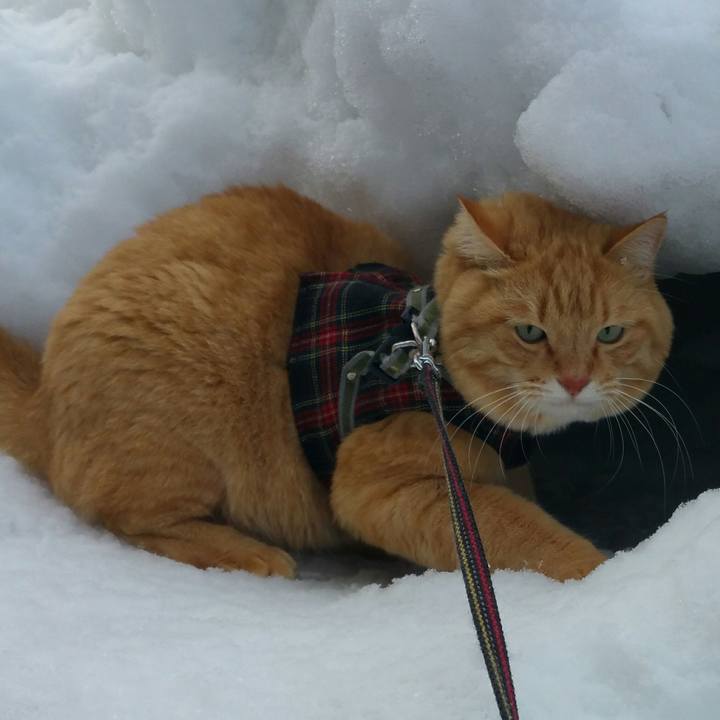 A6236b34 32ea 4aa3 ab52 a6b3f031e80d 1546571267988