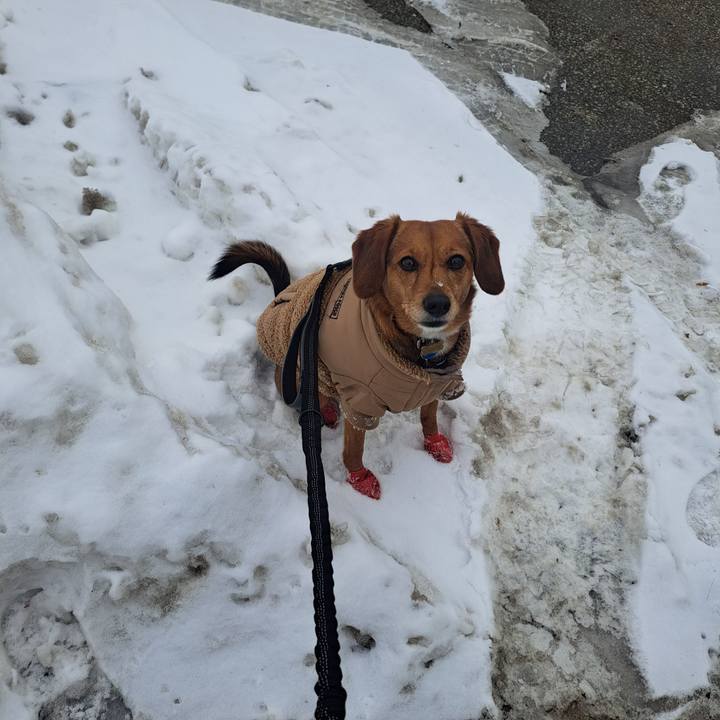 A6236c3e 85aa 40e2 b0d8 c013b37bd0cf 1771283849076