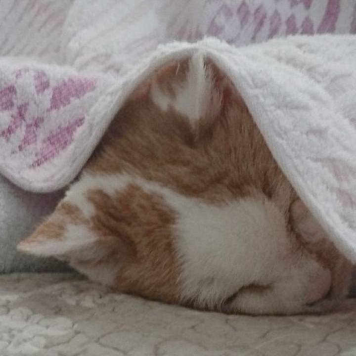 A6236c47 d132 4cb5 bb83 d9fdf68cbd57 1623543445599