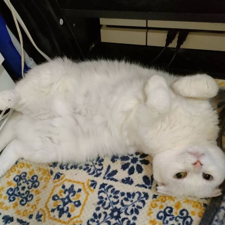 A6238919 7033 4196 bb70 318e6c859f83 1656119102391