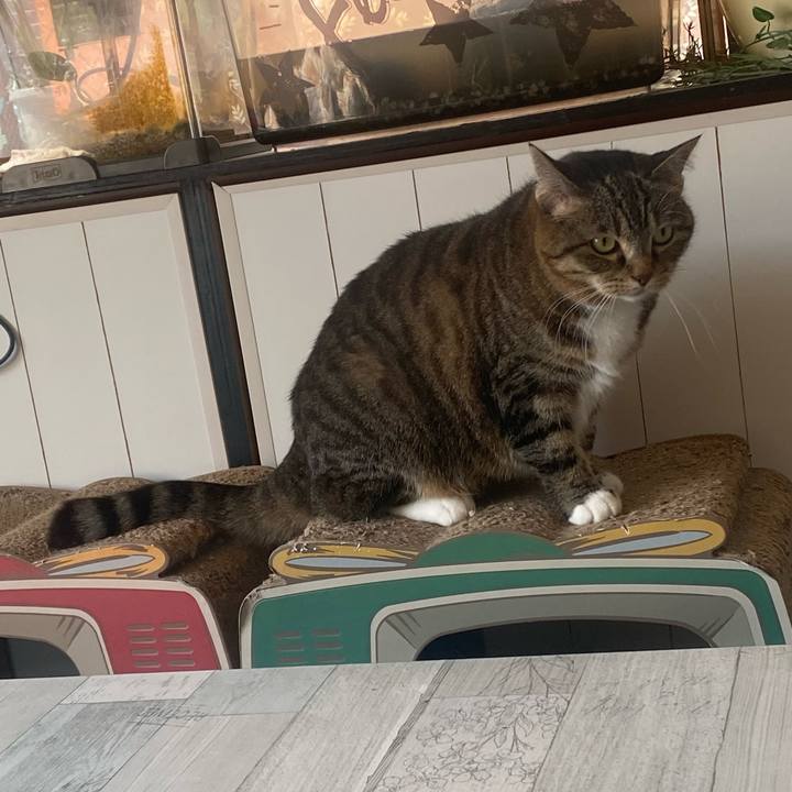 A6238b95 334d 4e71 8663 6a32159fd66d 1649387106873