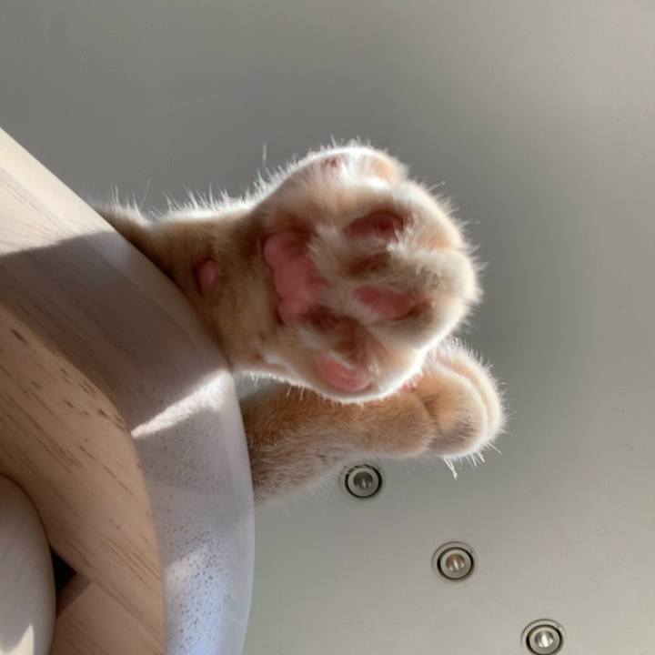 A623ac41 2bae 4523 b120 5a544911b5a9 1585956709581