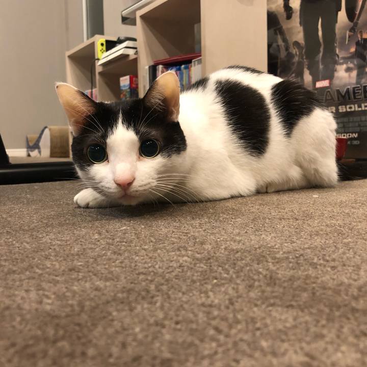 A623d67a bf1e 4eea a7b6 6367228bcb33 1645609012994