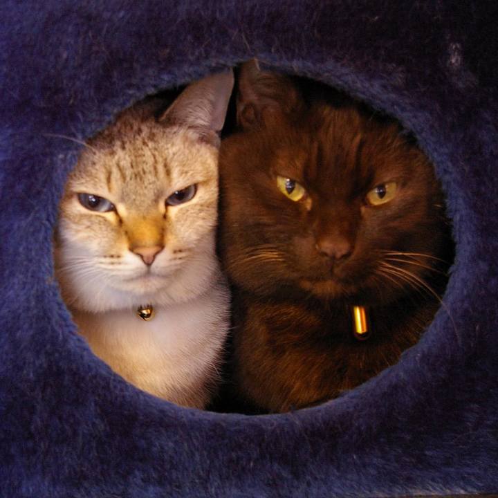 A62400a6 134c 4ddb b78e e12f9934305b 1616212876278