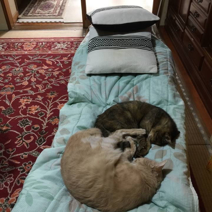 A62423c2 60eb 4108 9228 67ae18d4f373 1631834250980