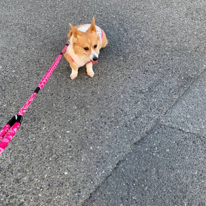 A6245f7a 42b7 48b4 b291 64963cfcf706 1584691068587