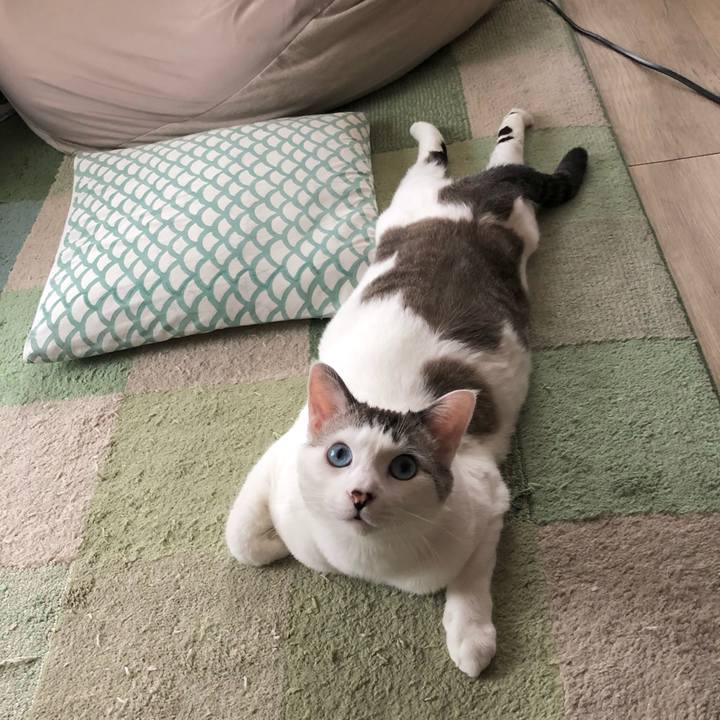 A6246a57 0ae9 4a76 812f 50d72de8beb4 1605841242142