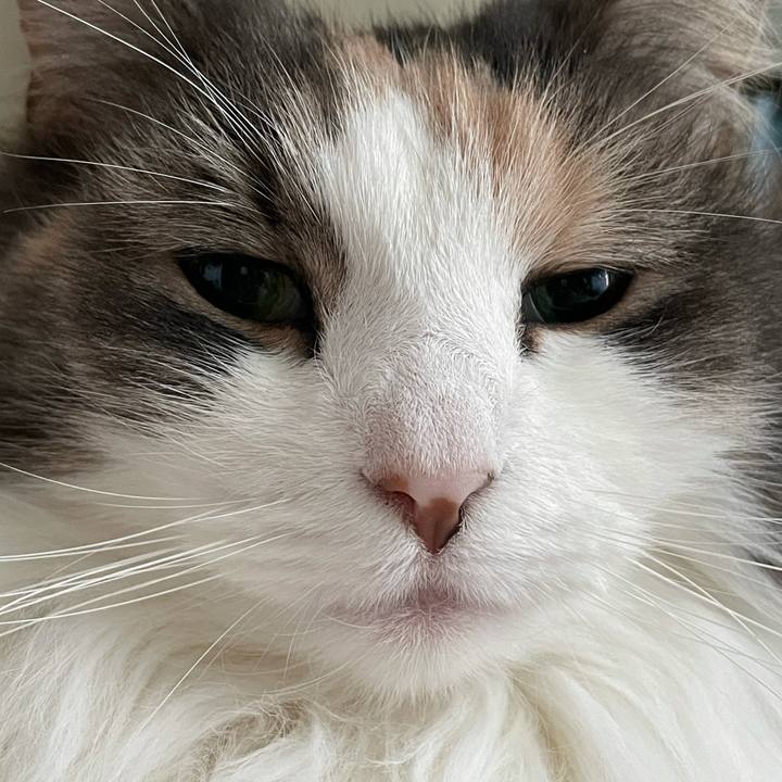 A62471de c471 421b be8c 6908a61375bd 1608427287385