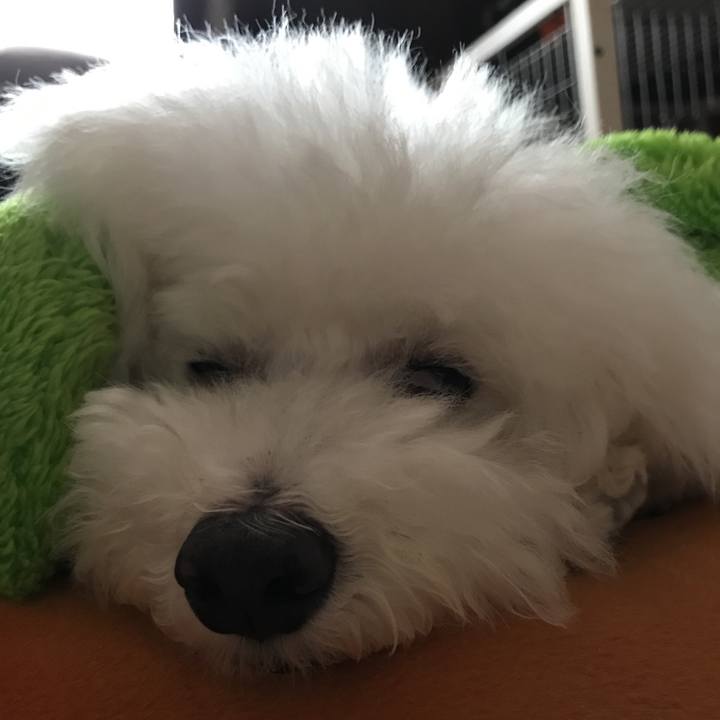 A6247619 0d7b 4453 94b2 008f3fa4c27c 1530077374105