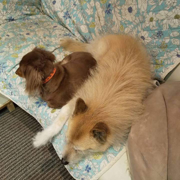 A624d685 3ece 48fd ac32 b297c0cad0f8 1552652371142