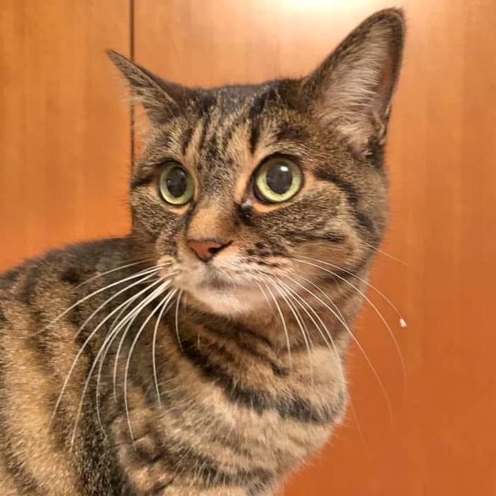 A6250dce c661 44c7 8d67 f9cbe29f6f33 1767079947613