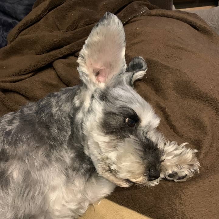 A62514f5 6d80 4673 bbfc d2ac96db266c 1619856295573