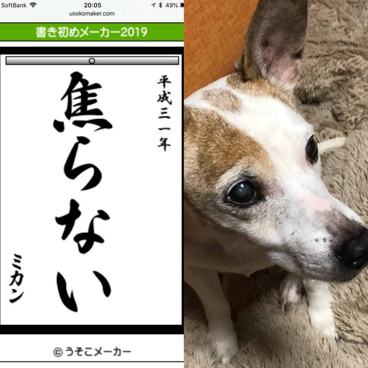 A6251712 5ef8 48cb bd42 799b652f8e9a 1546341377065