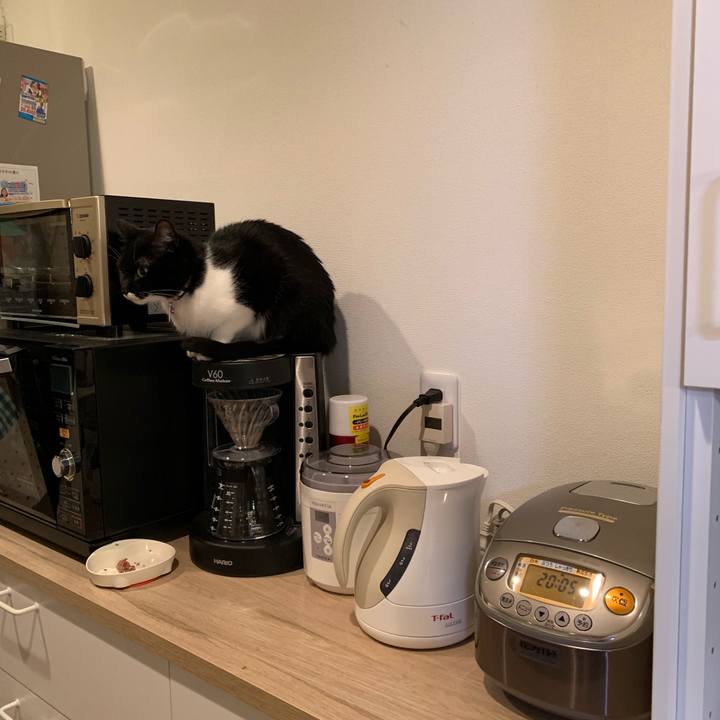 A6254fa8 a47f 47e6 882c 0a05a5df767b 1547215558244