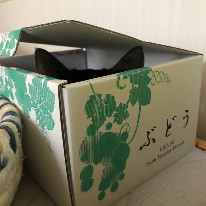 A6256d2e 5ebc 440f a383 589e1e9cad42 1600171326102