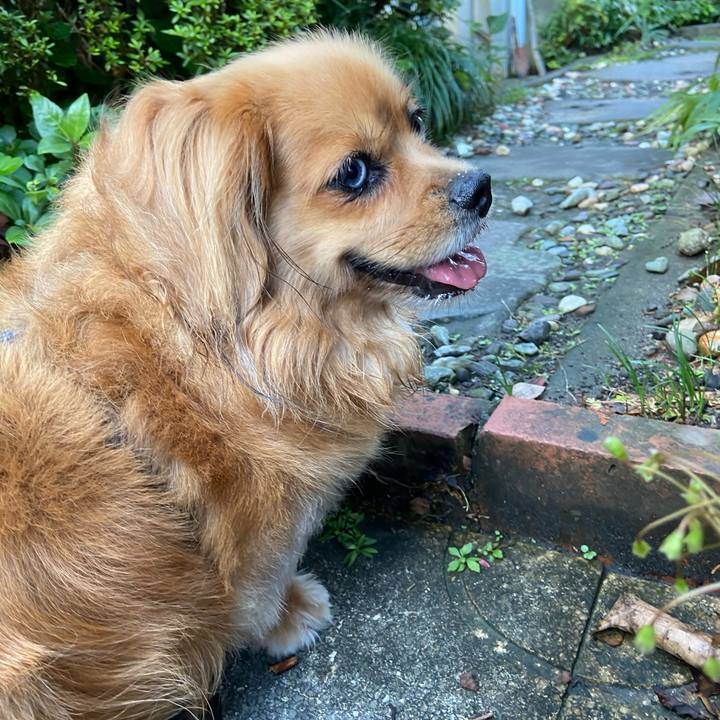 A625c36c 84bb 4e45 ae86 c99e22df6a2b 1595370046243