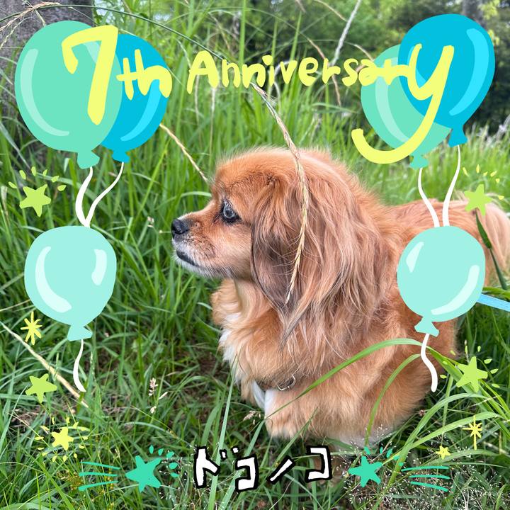 A625c90b 83f4 42c1 b353 72189a4787cd 1686001457169