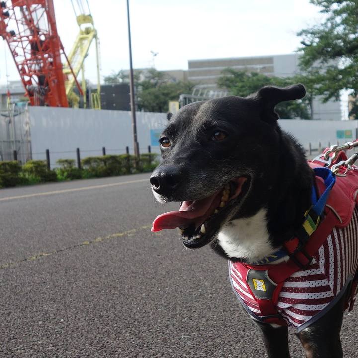 A625d271 3811 4902 a288 3b7761080782 1688344667143