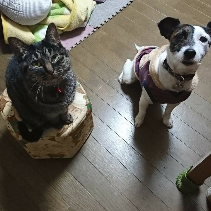 A625d681 babe 46b1 b718 9d818931adfc 1515587777511