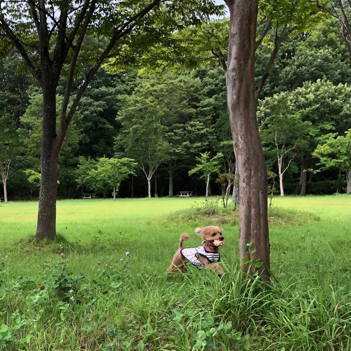 A6260ca6 9ee0 4e8c b111 9e67ae8dd8fb 1565834805736