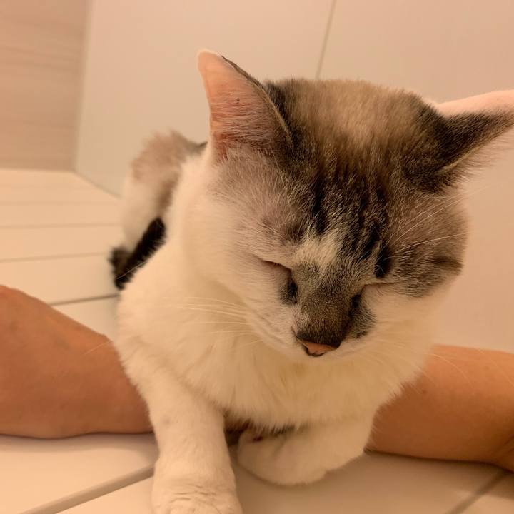 A626196f 4283 4d7d 9440 98e642a78d28 1560332837233