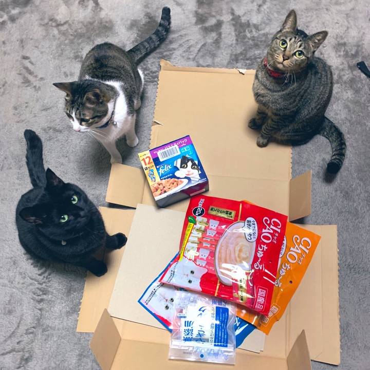 A62634a4 c677 487c b2ca fb8e3c2ee416 1575980500077