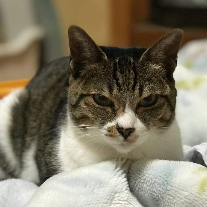 A6265b06 7054 4818 94ac 4e8c947e89ea 1512696741837