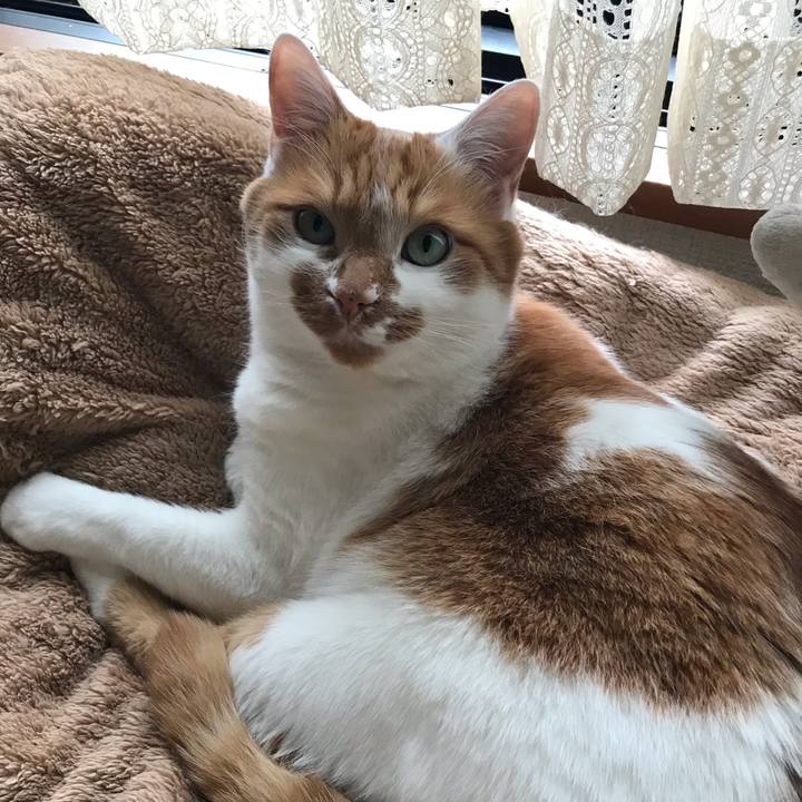 A6265e77 9319 4934 bf4e 5d581a1cba18 1549855254410