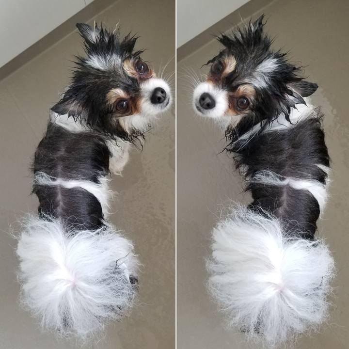 A626ce7c 9628 45d5 a4aa d836c84e2edc 1553211780470