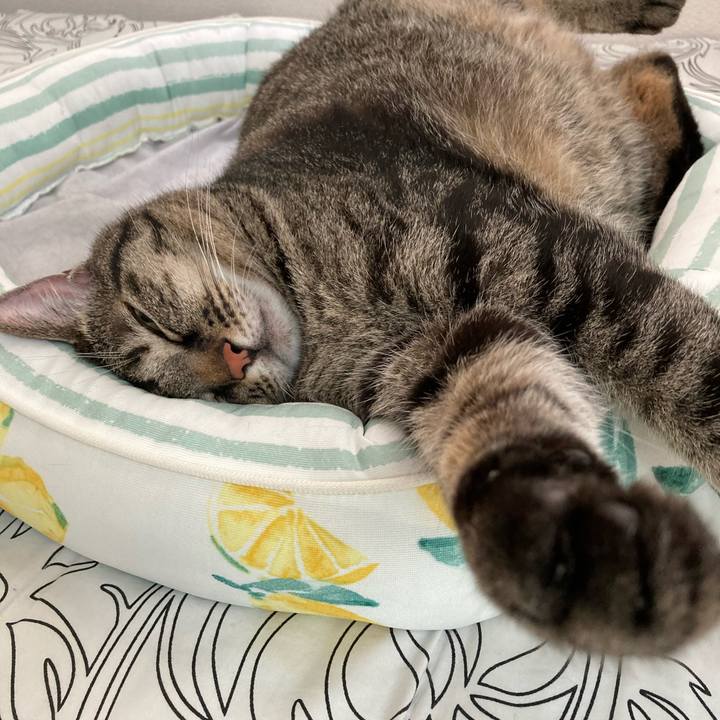 A626e00f e876 40de b4c6 8fb94e523178 1661501762409