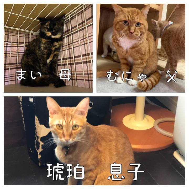 A626e22f cc5c 4125 bdbc 585b83cc8e60 1630722695687