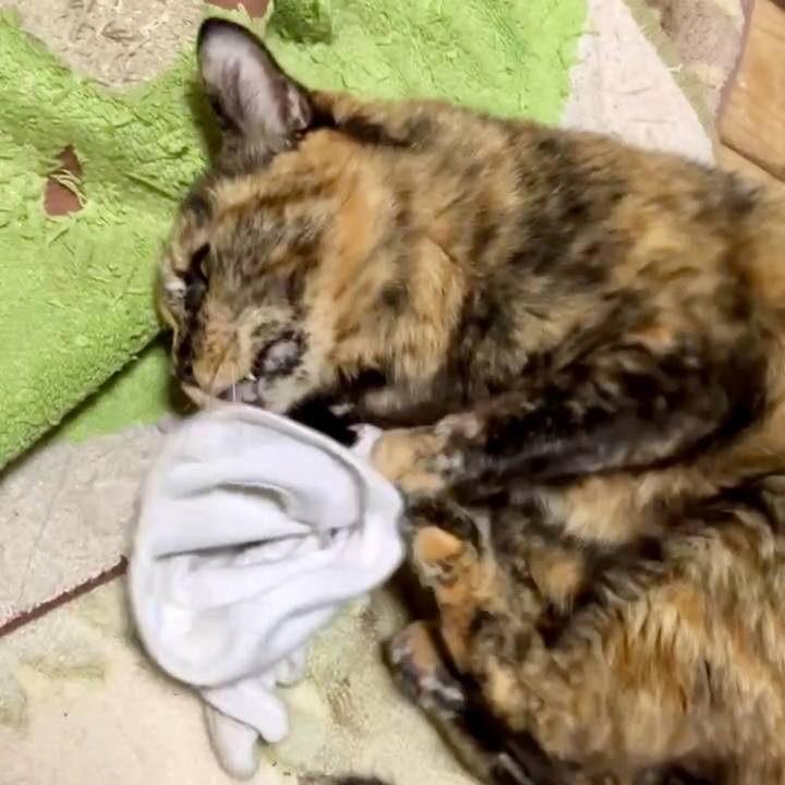 A6270b63 b9d1 48d8 94ab 931b27f1bcc3 1733996662818