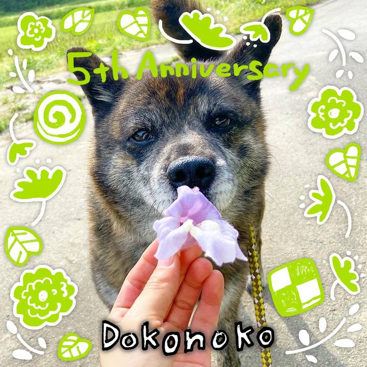 A6272328 176e 479a aa1a d6ea9a565163 1623336237669