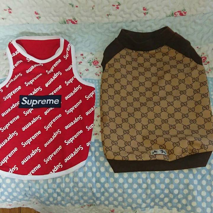 A62742f9 284d 402e 9d6c acd999c4e86c 1535463957053