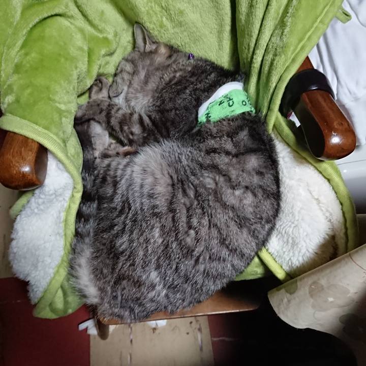 A6276637 973b 40f3 a772 c93d146a60d3 1587203450629