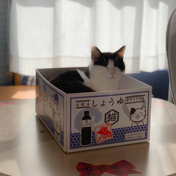 A6278f16 ce27 4336 818a d66699303b9b 1559784976167