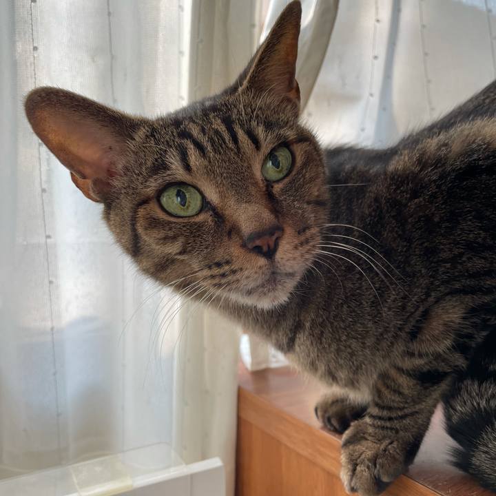 A6279087 6546 4a9b a12f c55d5a895364 1607736711133