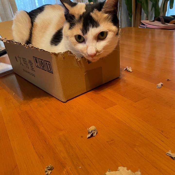 A627935e bb63 404a a6d7 d2c2982ab9c6 1708653531908