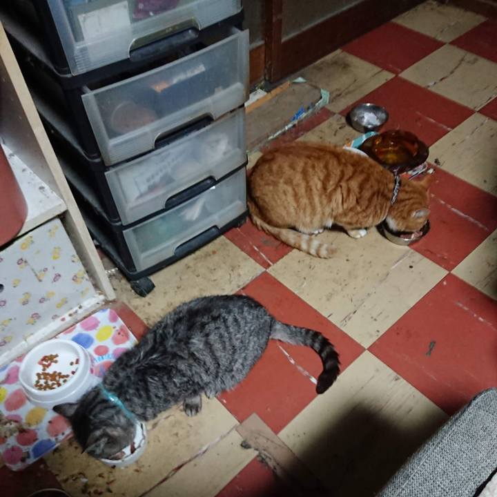 A627939d dab0 4bb5 8692 a68a1b9a09e7 1606941301801