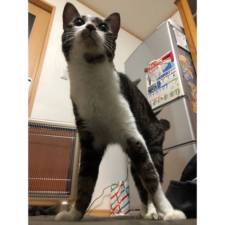 A627efb7 78e0 44eb 8860 06472d3eb6ee 1651868969008