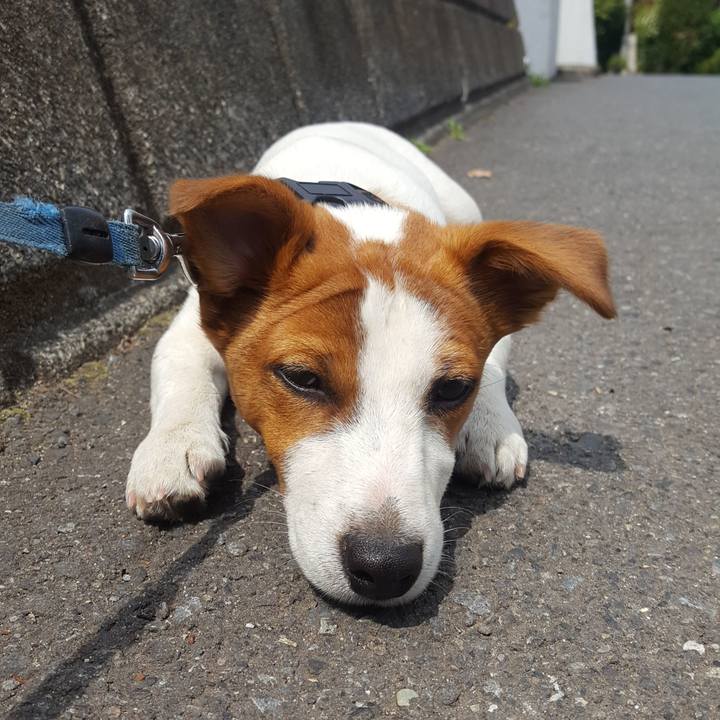 A62800d8 26e7 4ac9 a0fe 426c7d2d5754 1555809163584