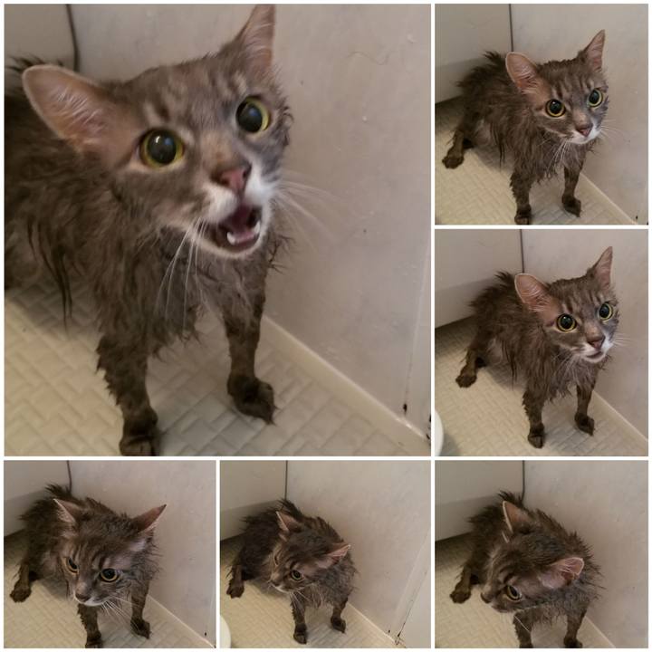 A62807c6 e202 4d39 a3fd 2f45f92d4a6a 1594543988325