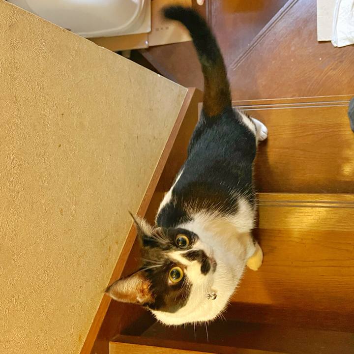 A6285783 1326 491d 8dae 1528d07fd230 1753829450141